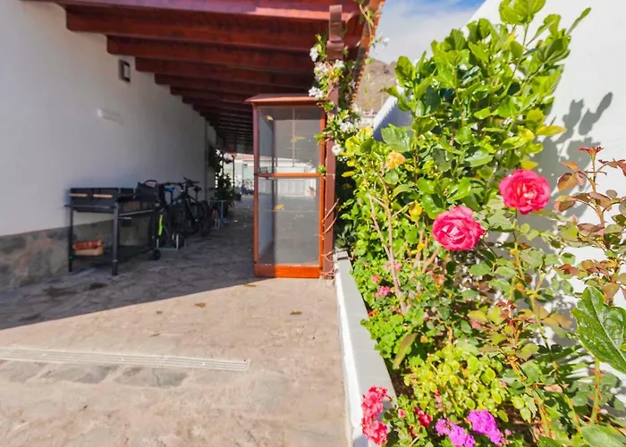 Sara In - Sara Vacation אדחה