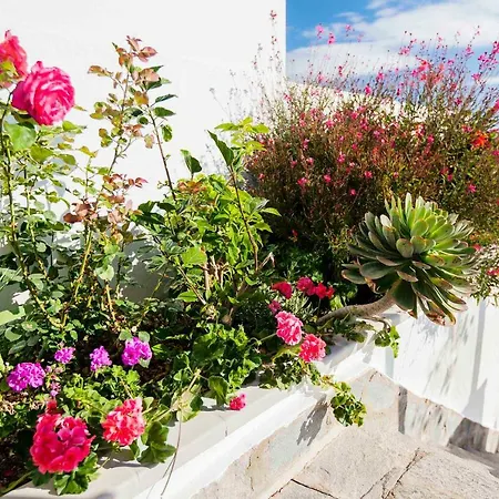 Villa Sara In - Sara Vacation Costa Adeje (Tenerife)