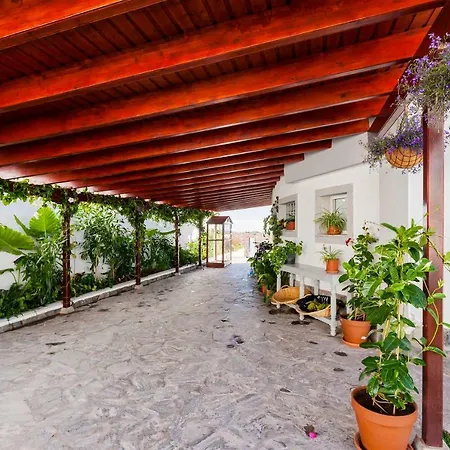 Sara In - Sara Vacation