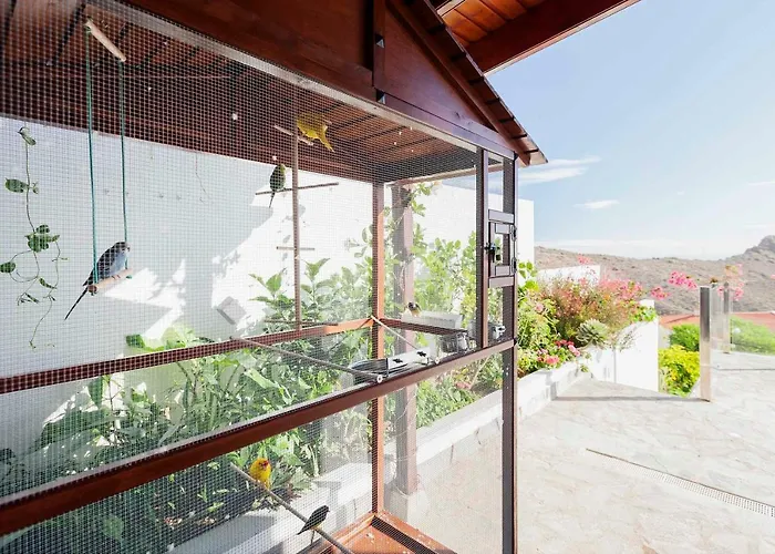 Sara In - Sara Vacation * 아데제