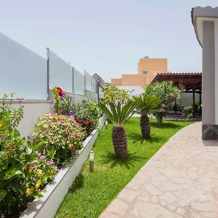 Sara In - Sara Vacation * אדחה