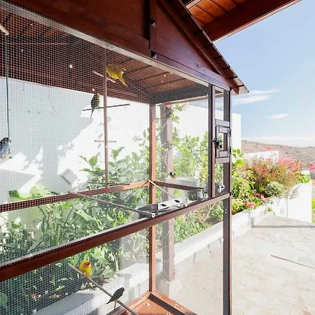 Sara In - Sara Vacation * אדחה